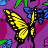 d_Danae e le farfalle, 30x30 cm